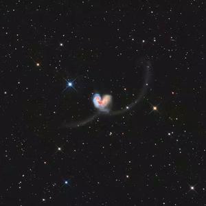 动漫口交操屁股
